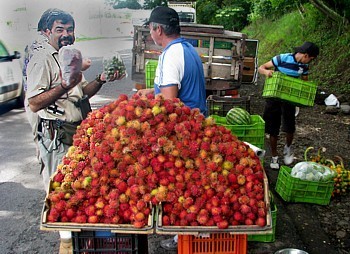 Une nouvelle formule pour découvrir le Costa Rica avec Canandès (suite) 