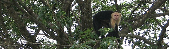 Une nouvelle formule pour découvrir le Costa Rica avec Canandès (suite) Une nouvelle formule pour découvrir le Costa Rica avec Canandès (suite)