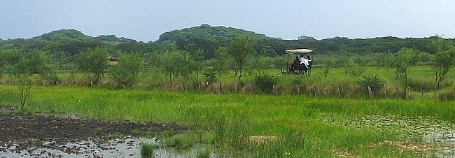 Une nouvelle formule pour découvrir le Costa Rica avec Canandès (suite) 