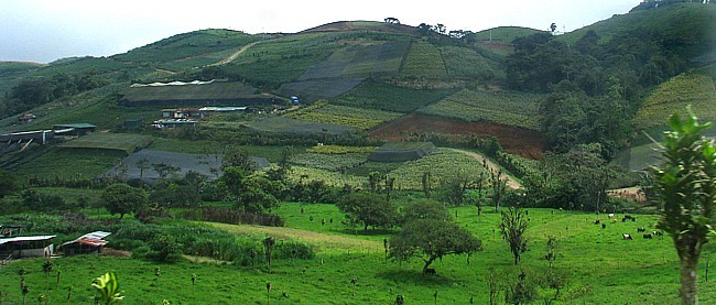 Une nouvelle formule pour découvrir le Costa Rica avec Canandès (suite) Une nouvelle formule pour découvrir le Costa Rica avec Canandès (suite)