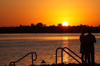 Piscine adulte , à l'écart des enfants. Piscine adulte , à l'écart des enfants.