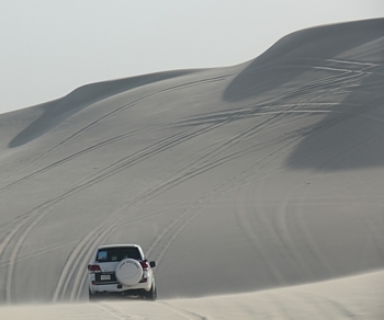 Les plus hautes dunes peuvent atteindre 40 mètres de hauteur.