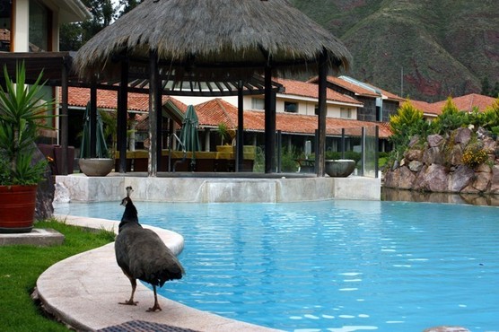 Hôtel Arawan, Sacred Valley