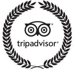 TripAdvisor dévoile les résultats d’une étude sur l’utilisation des avis en ligne TripAdvisor dévoile les résultats d’une étude sur l’utilisation des avis en ligne