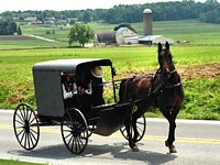 Au pays des Amish Au pays des Amish