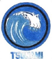 Alerte aux tsunamis : essai concluant pour le Pacifique