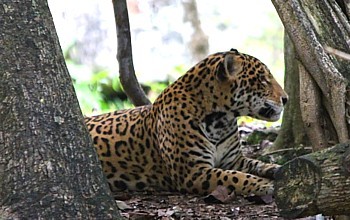 Xcaret Xcaret