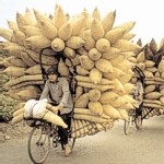 Votre vieux vélo est attendu dans le Sud ! Votre vieux vélo est attendu dans le Sud !