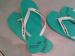 WestJet lance son nouveau service Toronto - Kingston (Jamaïque) WestJet lance son nouveau service Toronto - Kingston (Jamaïque)