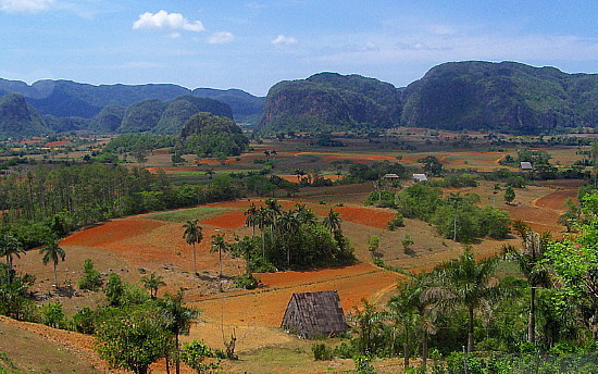 Vallée de Las Vinales (archives JMV)