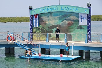 L'entrée au Delphinarium permet d'assister aux spectacles quotidiens (de dauphins et d'otaries) L'entrée au Delphinarium permet d'assister aux spectacles quotidiens (de dauphins et d'otaries)