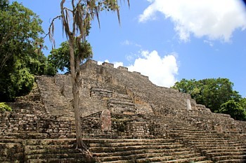 Le site de Calakmul Le site de Calakmul