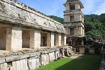 Palenque fût une des citées les plus puissantes de son époque, comme en témoigne ici le Palais des gouverneurs. Palenque fût une des citées les plus puissantes de son époque, comme en témoigne ici le Palais des gouverneurs.