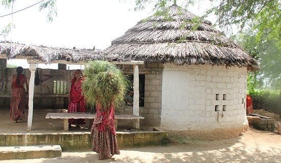 75% de la population de l'Inde habite la campagne.