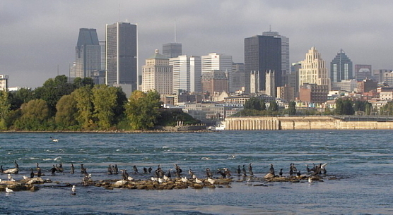 Montréal Montréal