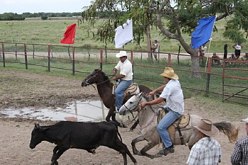 Au Ranch King Au Ranch King