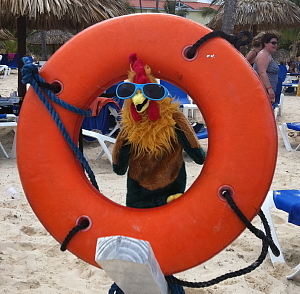 Tours Chanteclerc : ''Nommez ce coq en cavale…'' Tours Chanteclerc : ''Nommez ce coq en cavale…''