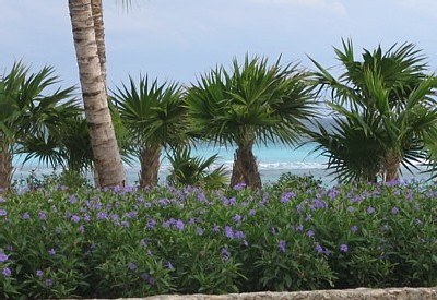 Club Med à Cancun: un village haut de gamme et familial au coeur de la civilisation Maya