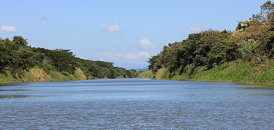 Le parc national Palo Verde se trouve en bordure de la rivière Tempisque.