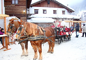 Activités ou balades à cheval Activités ou balades à cheval