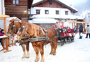 Activités ou balades à cheval