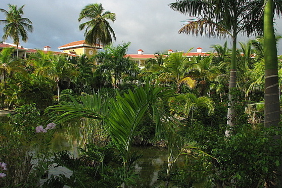 Un jardin extraordinaire au Paradisus Palma Real