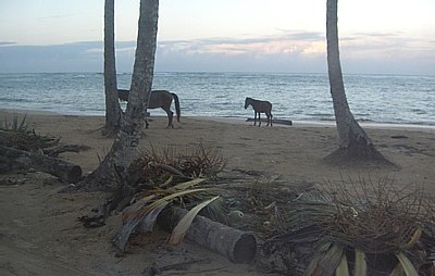 La nuit tombe à Las Terrenas, près du centre ville