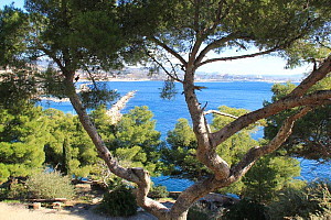 Marseille: en route pour une année bien remplie ! 