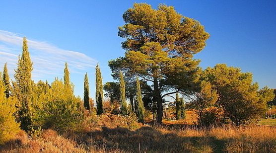 La lumière provençale a toujours été une grande source d'inspiration pour les peintres. La lumière provençale a toujours été une grande source d'inspiration pour les peintres.