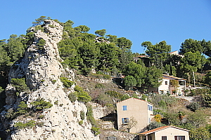 Garrigue à l'Estaque Garrigue à l'Estaque