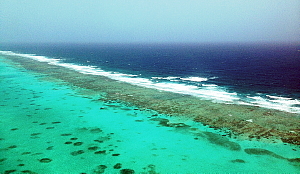 La barrière de Corail. (cr.Photo Sophie Jacques) La barrière de Corail. (cr.Photo Sophie Jacques)