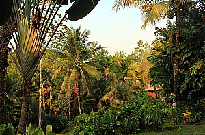 Luxe et émotions fortes, dans la jungle du Belize Luxe et émotions fortes, dans la jungle du Belize