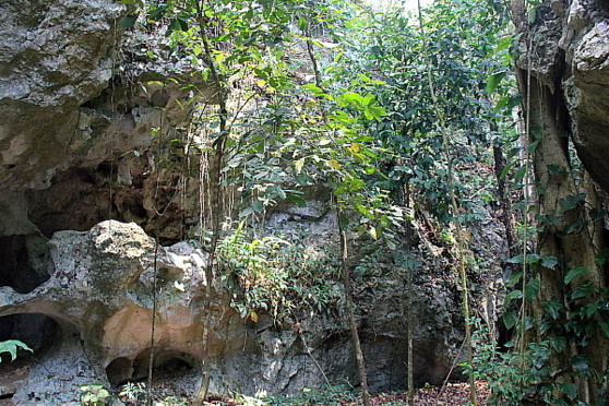 Le sol et le sous-sol du Belize sont composés de nombreuses cavernes, qui font le bonheur des amateurs d'écotourisme.