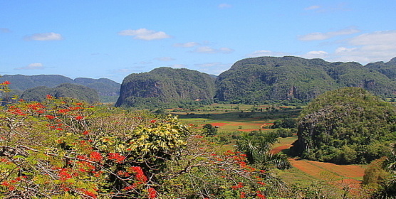 Le parc national de Vinales Le parc national de Vinales