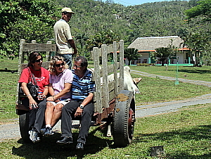 Au ranch Finca San Vincente