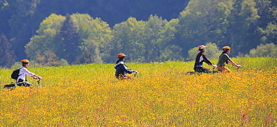 Dans la région de l'Emmentaler, on roule parmi les pâturages, sur les plateaux préalpins.