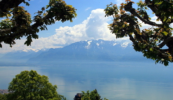 Vue du mont Grammont, à partir du restaurant Au Chalet, à Chardonne Vue du mont Grammont, à partir du restaurant Au Chalet, à Chardonne