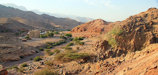 Situé dans la Réserve de la Biosphère de Dana, le Feynan Ecolodge compte 26 chambres. Situé dans la Réserve de la Biosphère de Dana, le Feynan Ecolodge compte 26 chambres.