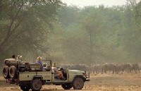 Palmarès des destinations africaines: l'Afrique du Sud en pôle position. Palmarès des destinations africaines: l'Afrique du Sud en pôle position.