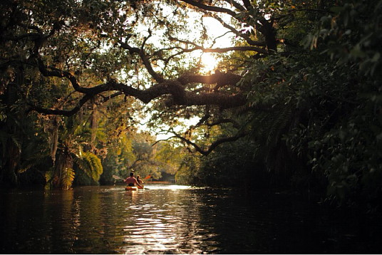 Fort Myers met l’emphase sur le bien-être du corps et de l’âme