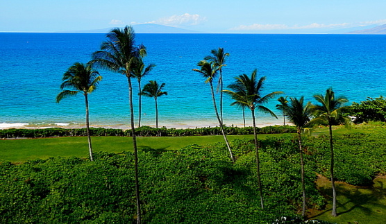 À prime abord, les paysages tropicaux de Hawaï ressemble à s’y méprendre à celui des Antilles mais l’archipel hawaïen est remarquablement diversifié.