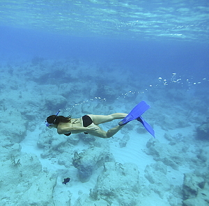 Plus que 7 jours pour profiter des meilleures offres du Club Med Plus que 7 jours pour profiter des meilleures offres du Club Med