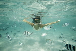 Plongez dans l’été et Réservez tôt, Réservez futé : deux offres du Club Med à ne pas manquer! Plongez dans l’été et Réservez tôt, Réservez futé : deux offres du Club Med à ne pas manquer!