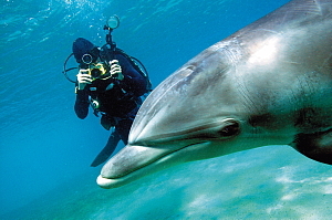 Club Med Columbus Isle et Turkoise : deux Villages aux sites de plongée exceptionnels Club Med Columbus Isle et Turkoise : deux Villages aux sites de plongée exceptionnels