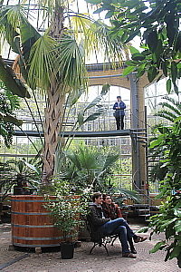 Le jardin Hortus Botanicus est l'un des plus vieux jardins botaniques au monde