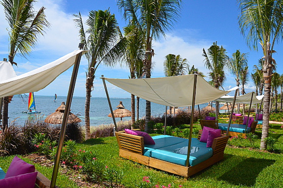 Dans le jardin des suites de luxe.