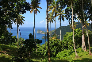 Sainte-Lucie: L'île aux diamants verts