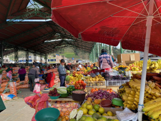 Éductour en Équateur avec Allo Destinations : 'Une immersion captivante dans une destination hors des sentiers battus' Éductour en Équateur avec Allo Destinations : 'Une immersion captivante dans une destination hors des sentiers battus'