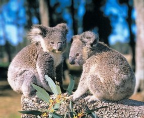 Boomerang Tours ajoute un départ 'Découverte du Pacifique Sud'