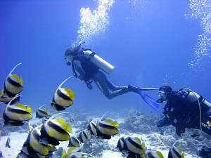 Forfaits plongée vols inclus aux Club Med Turkoise ou Columbus Isle Forfaits plongée vols inclus aux Club Med Turkoise ou Columbus Isle